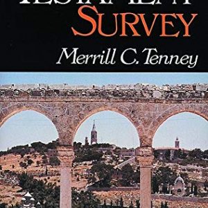 New Testament Survey